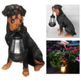 thumbnail image 3 of Estatua de Perro Decorativa perfecl para Jardín con Linterna Solar Rottweiler, 3 of 7