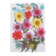 thumbnail image 5 of de 25 varias flores secas de natural múltiples Hojas das para uñas Arte Artesanía Jabón hecho a mano Vela Resina Material F Baoblaze Flores secas prensadas naturales, 5 of 8