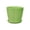 Green, variant on romoty Flower Petal Shaped Plastic Plant Pot with Saucer Pink, 6.3 in Lightweight Decorative Succulent Planter with Drainage Hole for Indoor Outdoor Desk Garden Decor