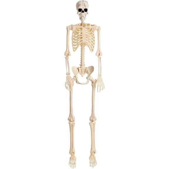 Foraging dimple 35.4" Poseable Frankenstein Halloween Skeleton Decoration | Skeleton Decorations | Monster Decor Standard