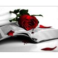 thumbnail image 1 of Rouge et Noir 12 - Peinture Diamant DIY, 1 of 6
