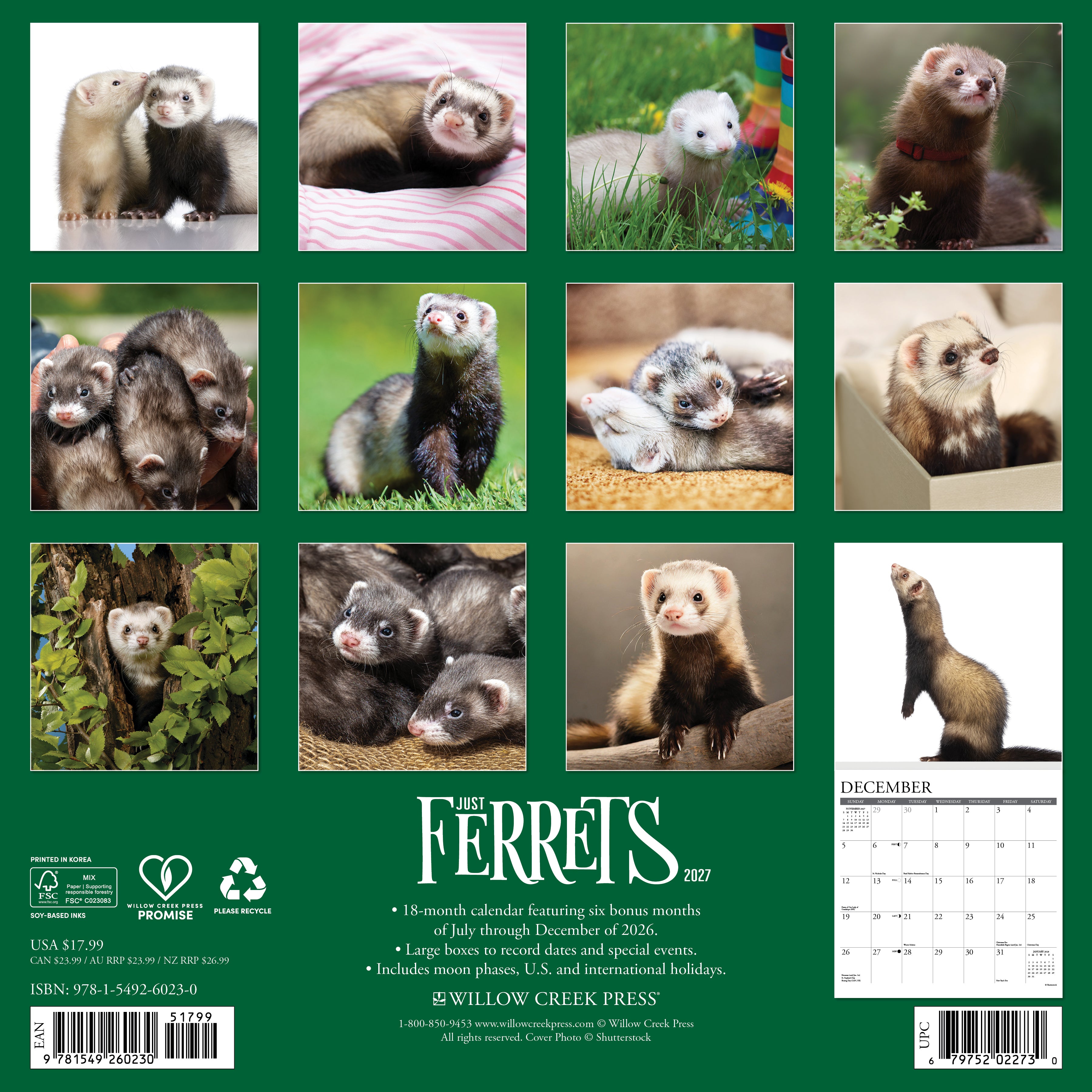Willow Creek Press, Ferrets 2027 Wall Calendar