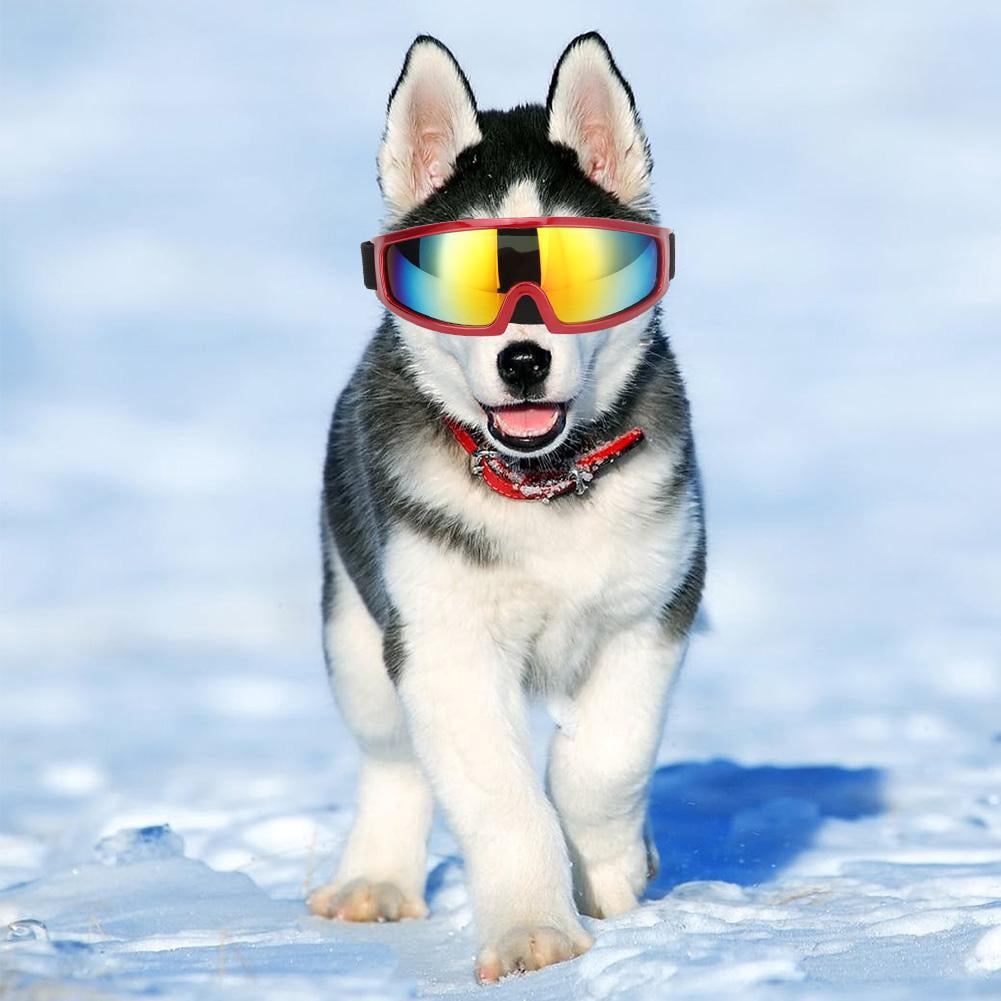 husky goggles