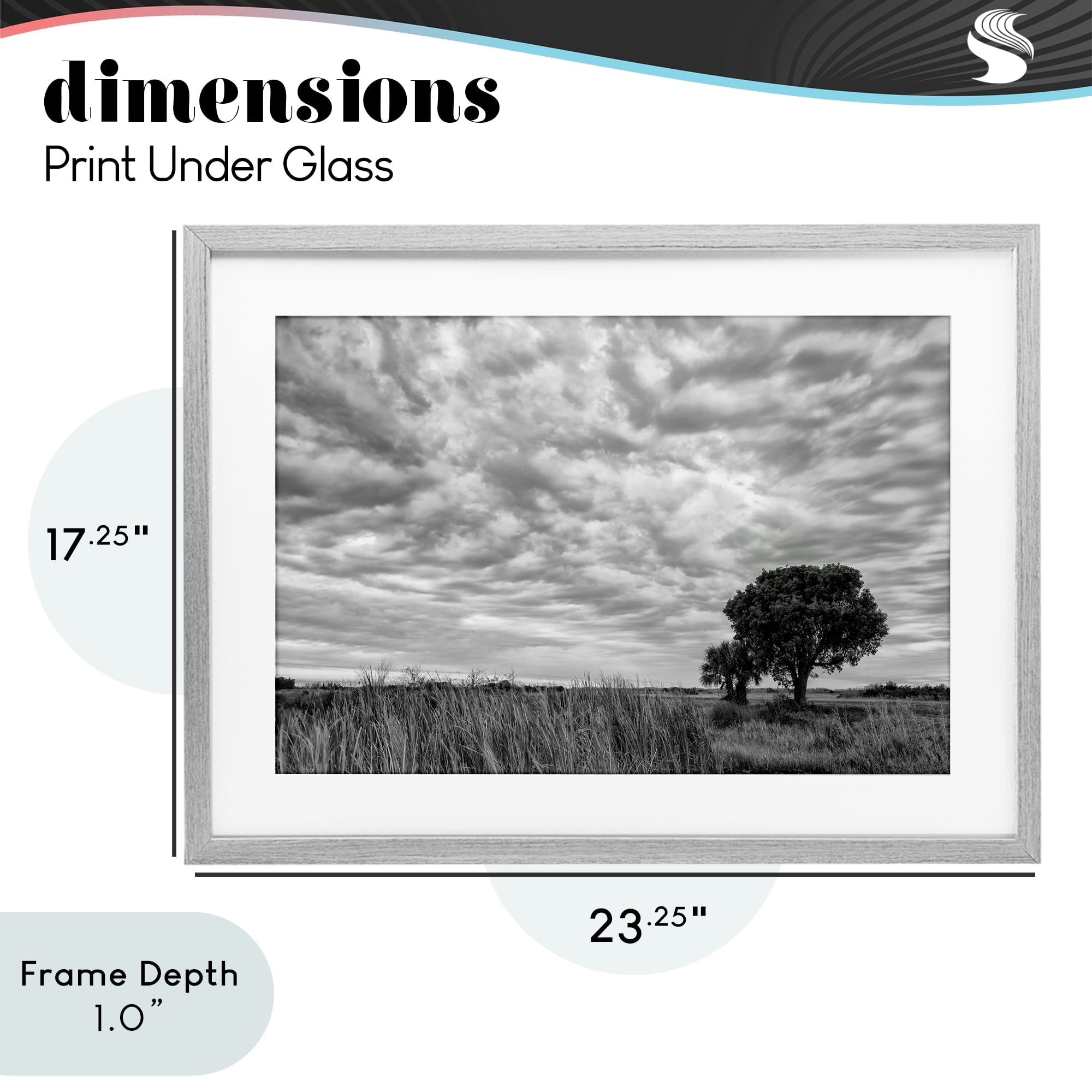 Stupell Industries Solitary Tree Beneath Clouds Gray Framed Print Under Glass, design by Jon Evan