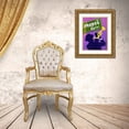 thumbnail image 3 of Prime, Marcus 15x18 Gold Ornate Wood Framed with Double Matting Museum Art Print Titled - Mardi Gras 3, 3 of 4