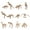 c, variant on MesaSe 12Pcs Dinosaur Skeletons Assorted Dinosaur Skeleton Toy Figures Dino Bones Educational Gift For Science Play Dino Sand Party Decorations