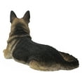 thumbnail image 4 of Berger Allemand Couché, 4 of 4