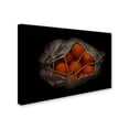 thumbnail image 2 of Trademark Fine Art 'Orange On Black' Canvas Art by Secundino Losada, 2 of 3
