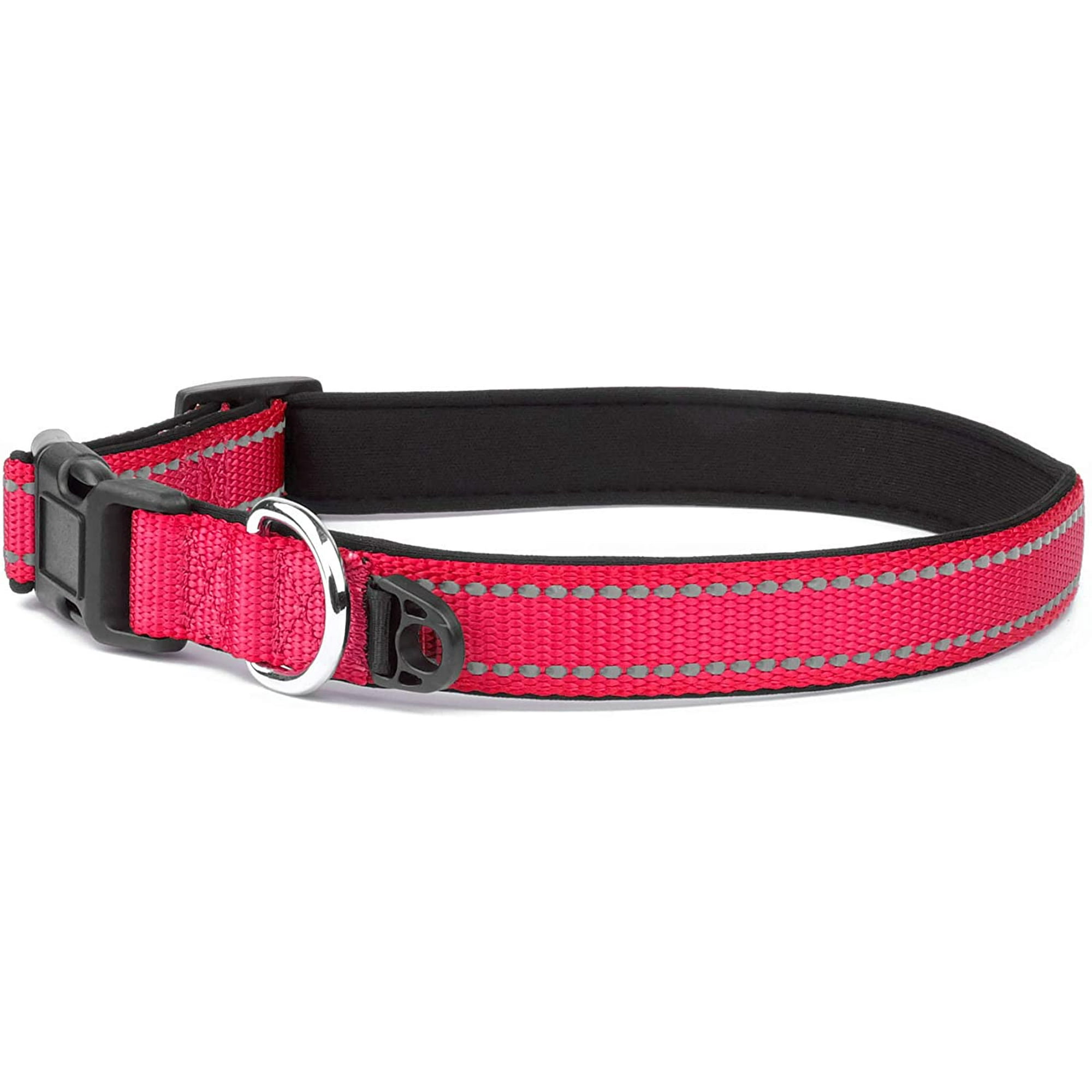 What Is A Safety Ring On A Dog Collar