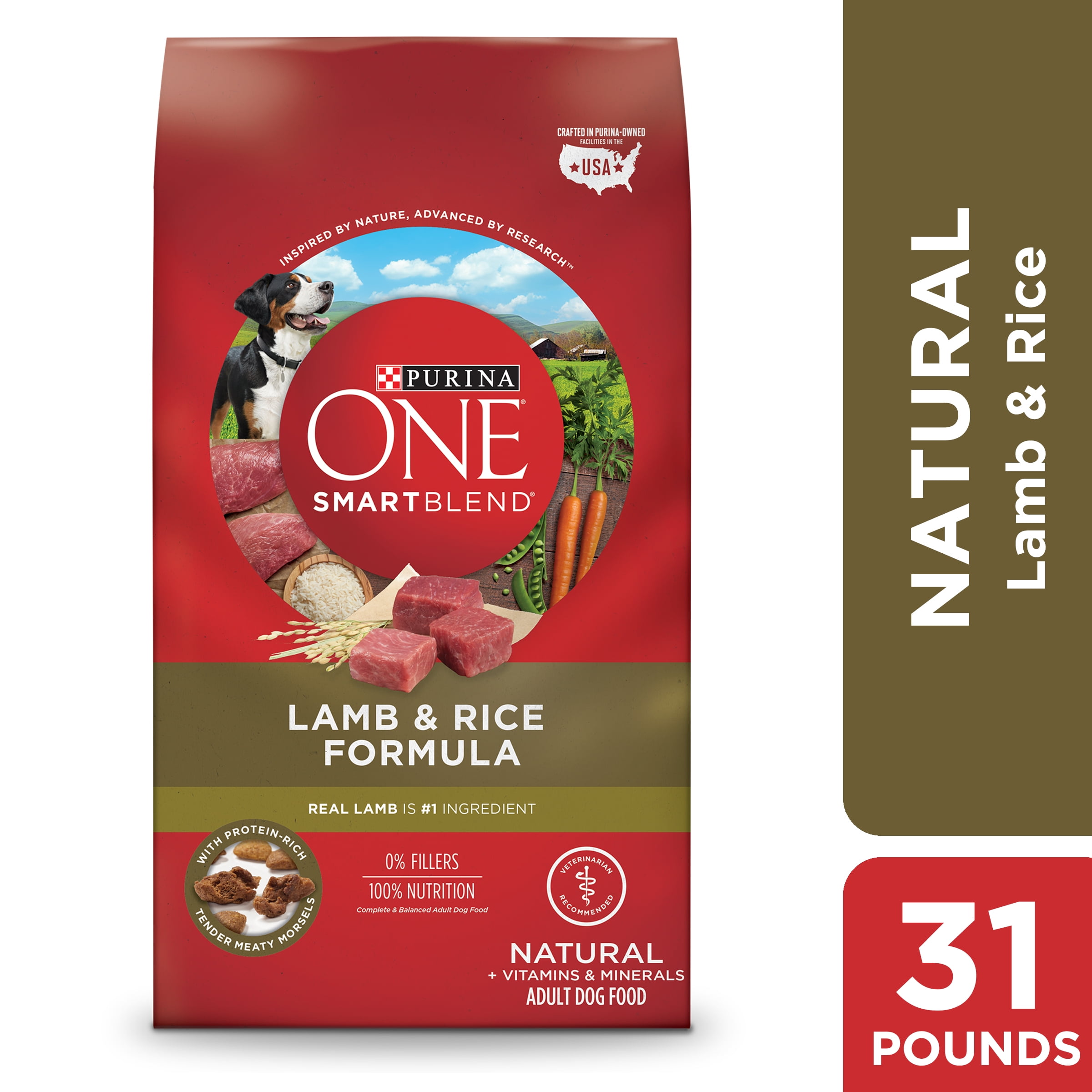 Purina ONE Natural Dry Dog Food 