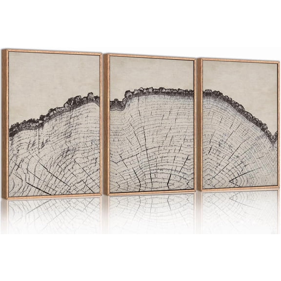 Vintage Wood Tree Rings Wall Art Set, Framed Canvas Paintings, Black and White Nature-Inspired Decorative for Modern Home Decor for Living Room, Bedroom, Dining Room, Office- 16"x24"x3