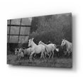 thumbnail image 2 of Epic Art 'France' by Susan Friedman, Acrylic Glass Wall Art, 24"x16", 2 of 8