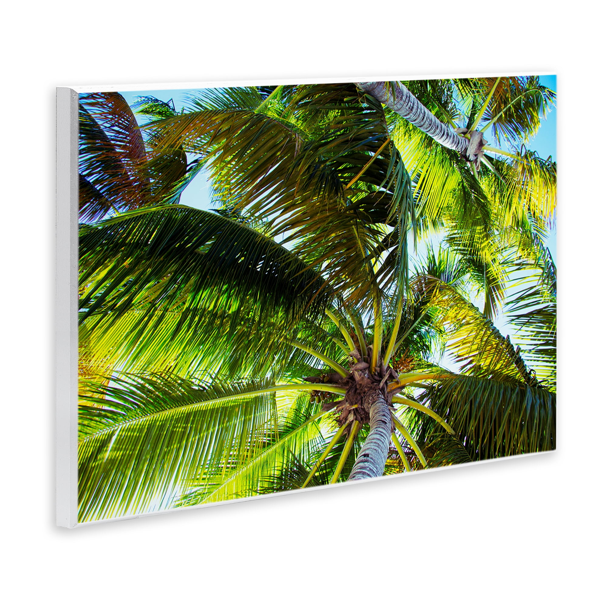 Stupell Industries Swaying Palm Leaves Botanical & Floral Photography Unframed Art Print Wall Art, 19 x 13