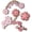 Blooming Cherry Blossom, variant on Jibbitz Minecraft Shoe Charms 5-Pack