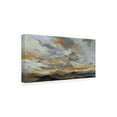 thumbnail image 2 of Silvia Vassileva 'High Desert Sky I Navy' Canvas Art, 2 of 3