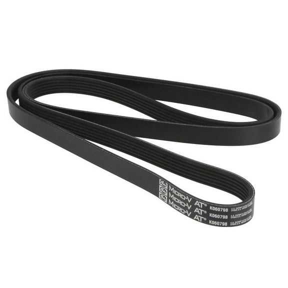 Primary Multi Rib Belt - Compatible with 1997 - 2013 Chevy Corvette 1998 1999 2000 2001 2002 2003 2004 2005 2006 2007 2008 2009 2010 2011 2012