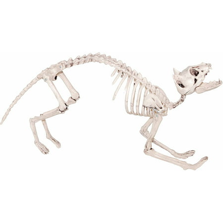 Cat Skeleton Halloween Decoration
