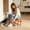 Orange, variant on Swivel Wheel Stool, TOUMENY Portable Rolling Low Stool with Casters, Movable Plastic Seat for Living Room Bedroom Home Office, Yellow