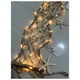 thumbnail image 5 of Cadena de Luces con Temática Playera, Conchas y Caracolas LED, Luces Decorativas, y Luces Ambientales, 5 of 5