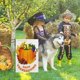 thumbnail image 5 of Bandera de Jardín Vertical de Doble Cara con Diseño de Calabaza y Juegos de Otoño para Patio, Acción de Gracias y Decoración Al Aire Libre., 5 of 6
