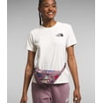 thumbnail image 5 of Mochila lumbar THE NORTH FACE Jester Fawn Grey Fall Wanderer, 5 of 5