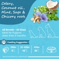 thumbnail image 2 of FPN Vegan Dog Treats for Dental Health, 7 oz Grain-Free Biscuits with Mint, Celery & Sage, Human-Grade Superfood Snack for All Dogs, 2 of 6