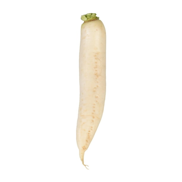 Fresh Daikon Radish for Commercial Office Breakroom Snacks Fresh Daikon Radish for Commercial Office Breakroom Snacks