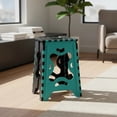 thumbnail image 3 of Banco Plegable Grande Portatil Plastico Soporta 120kg 1pz Acabado De La Estructura Mate Color Aqua, 3 of 7
