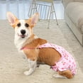 thumbnail image 6 of Eoperou Dog Menstrual Pants with Suspenders, Reusable, 6 of 7