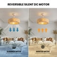 thumbnail image 3 of HOOMEDELIER 20" Boho Ceiling Fan with Light , Fandelier Ceiling Fan and Remote, Bladeless Caged Fan for Bedroom Living room, 3 of 15