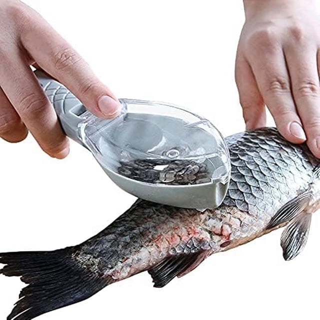 Tckenan Fish Scale Scraper, Plastic Fish Scale Remover, Descaler, Kitchen, Cooking Tools (Blue)
