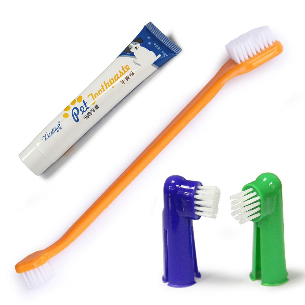 best cat toothpaste and brush