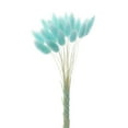 thumbnail image 2 of Ramos de flores secas naturales, plantas de cola de conejo, arreglos florales con tallos bohemios azul, 2 of 8