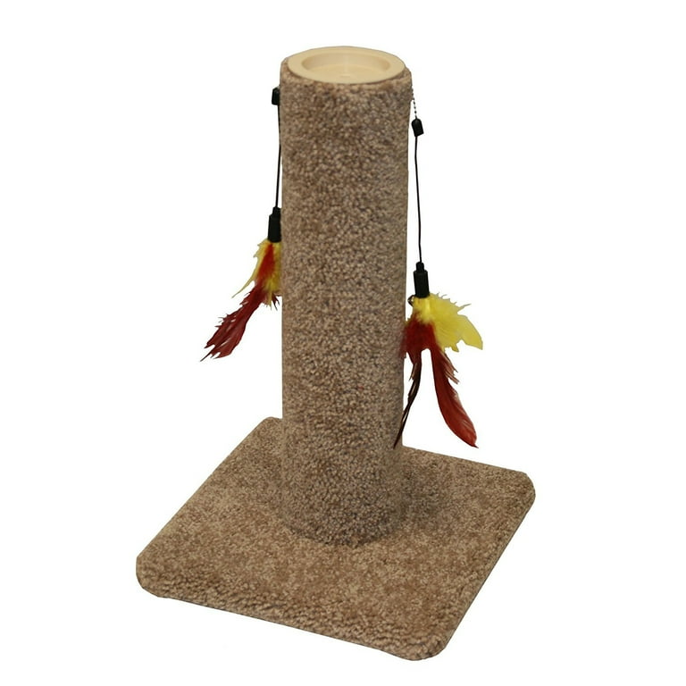 Urban cat cat clearance furniture