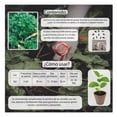 thumbnail image 3 of Semillas Perejíl Vita, 3 of 5