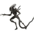 thumbnail image 3 of NECA Aliens - 7" Scale Action Figure - Series 14 - Alien Resurrection Warrior, 3 of 6
