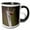 Black/White, variant on 3drose, British Columbia, Kamloops, Marsh Wren-cn02 Ldi0040 - Larry Ditto, 11oz Two-tone Green Mug