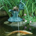 thumbnail image 1 of Aquascape 78305 Frog on Reed Spitter Fountain, 1 of 1