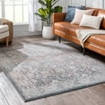 thumbnail image 5 of Well Woven Rodeo Salida Vintage Botanical Border Black Gray 5'3" x 7'3" Area Rug, 5 of 8
