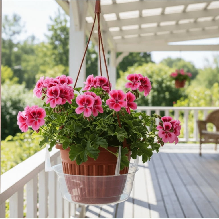 Hanging Planter Accessories, 8 Inch Hanging Basket Water Catcher, Clear  Plastic Plant Pots Drip Tray, Outdoor Hanging Basket Plant Drainage Saucer,  8X6.25X3.25 in Clear Round Plant,10 Pcs - Walmart.com