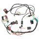 thumbnail image 5 of unbranded 1Jgo Arnés De Cables Cdi Para Motocicleta Atv Con Material Ligero Y Uso, 5 of 8
