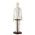 thumbnail image 5 of Bothyi Model Height 20 inch with Base Multipurpose Human Practice Model Male Soft, 5 of 8