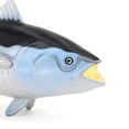 thumbnail image 7 of Shenmeida PVC Sea Animal Figures Ocean Animals Figurines Bath Toy Bluefin Tuna Figures Baby Shower Cake Toppers Birthday Gift for Kids, 7 of 7