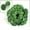 begonia, variant on 100/2M Artificial Green Ivy Vine Garland Fake Leaf Plants Rattan Hanging Creeper Garlands for Garden Wedding Party Wall Decors