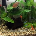 thumbnail image 4 of WEUVEB 5Ud Adorno Acrílico Para De Peces Cueva Para De Acuario, 4 of 8