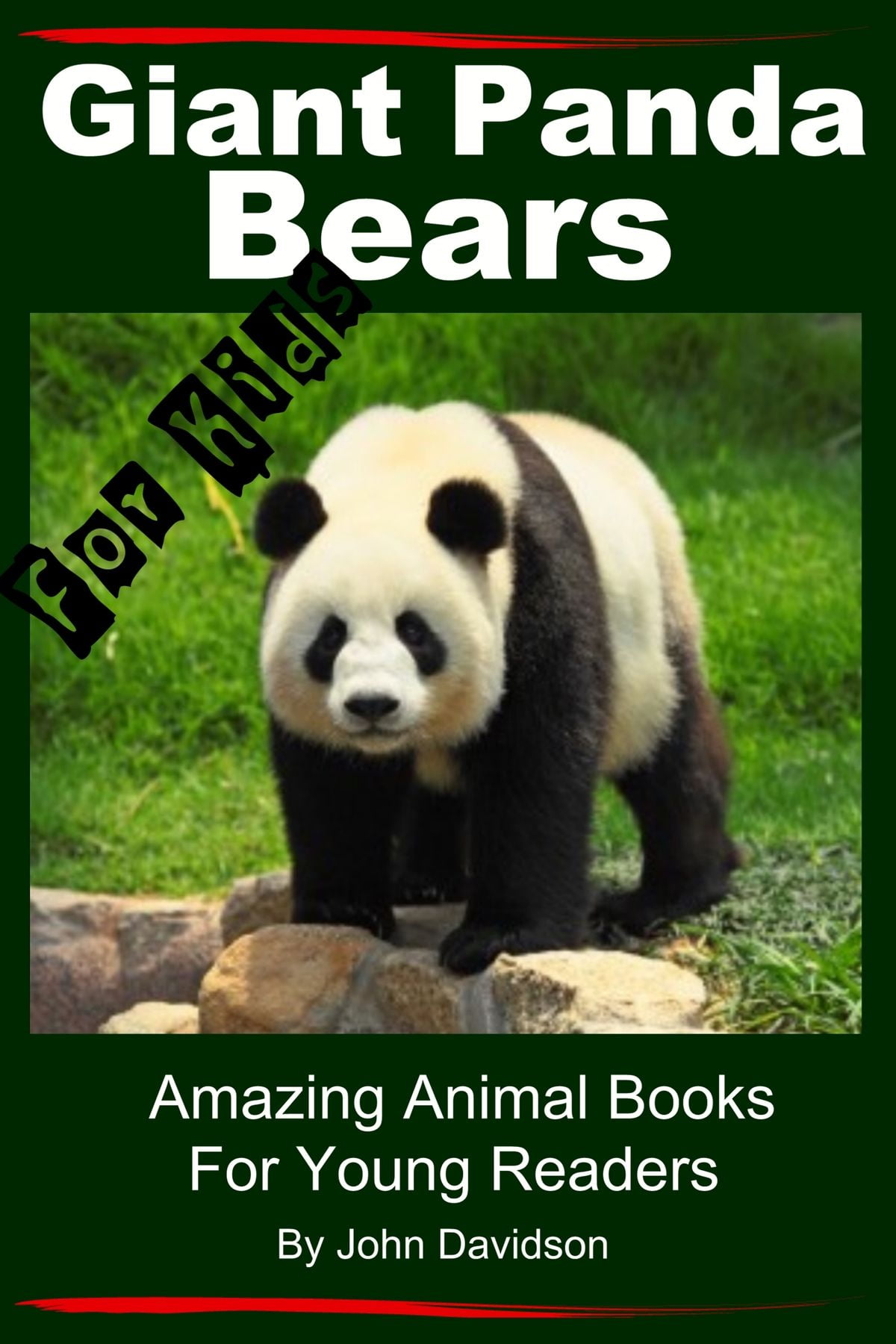 Giant Panda Bears: For Kids - Amazing Animal Books for Young Readers - eBook
