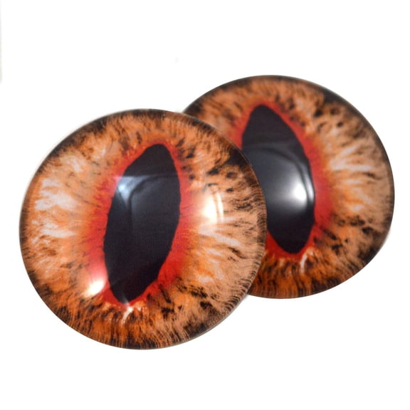 Orange Cat or Dragon Glass Eyes