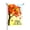 Color 8, variant on AMHNF Hello Fall Black Cat Scarf Linen Fall Winter Garden Flags for Outside 12x18 inch