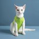 thumbnail image 4 of Traje de recuperación para gatos de 3 piezas, traje de recuperación para gatitos, alternativa de cuello electrónico para gatos y perros, traje de pijama antilamer la piel abdominal, 4 of 5