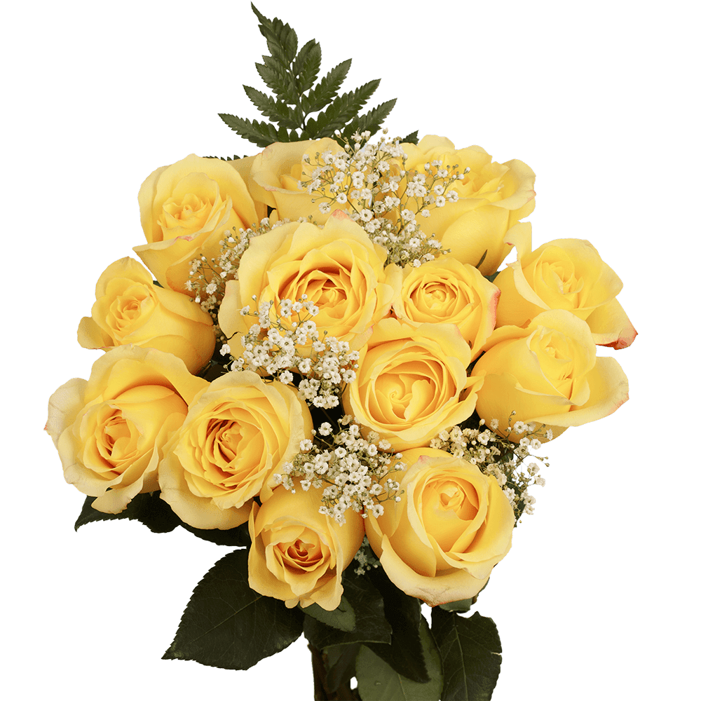 3 Dozen Cream Roses With Baby S Breath And Green Fresh Flower Delivery Walmart Com Walmart Com 3 Dozen Cream Roses With Baby S Breath And Green Fresh Flower Delivery Walmart Com Walmart Com